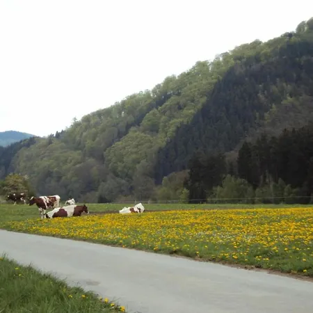 Appartement Im Sauerland Mit Terrasse, Cleaning Included Marsberg