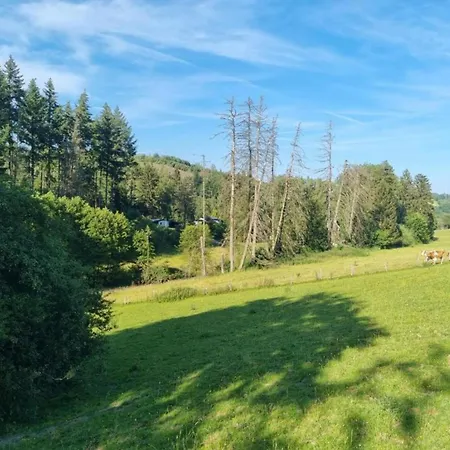 Im Sauerland Mit Terrasse, Cleaning Included